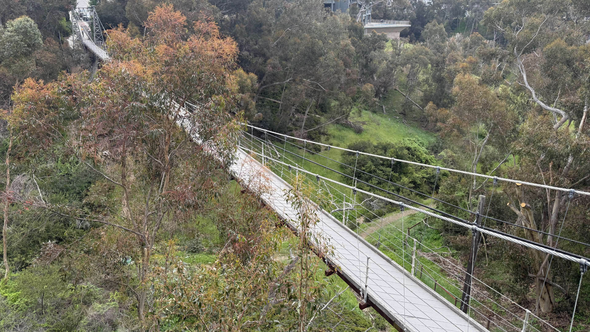 View from above the Spruce Street Suspension Bridge