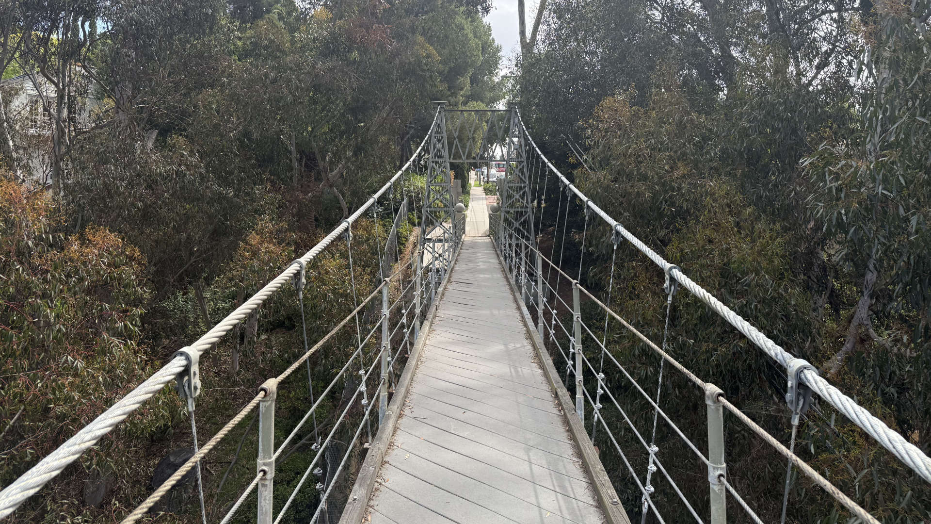 View of the Spruce Street Suspension Bridge showing its main support cables